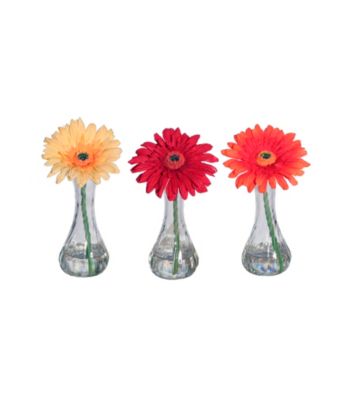 Vickerman Gerbera Daisies in Acrylic Water