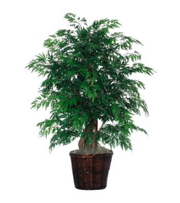Vickerman 4' Ming Aralia Dark Brown Rattan Basket