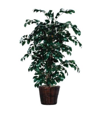 Vickerman 4' Sakaki Bush in Dark Brown Rattan Basket