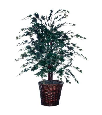 Vickerman 4' Frosted Maple