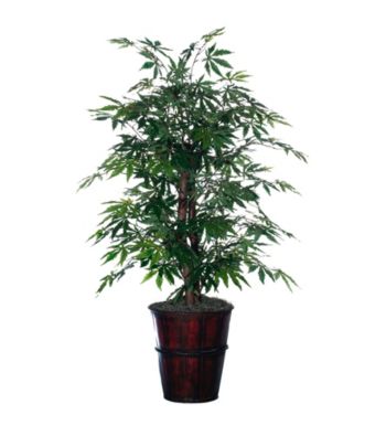 Vickerman 4' Japanese Maple Bush