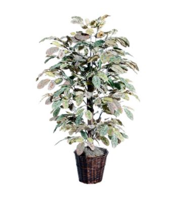 Vickerman 4' Apple