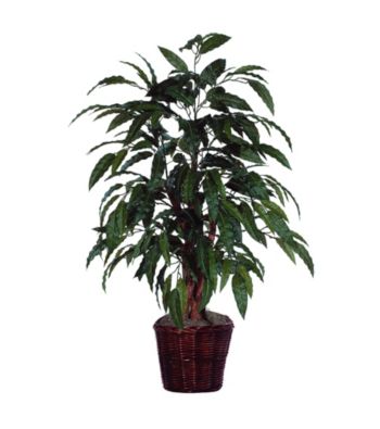 Vickerman 4' Mango Bush Potted in Dark Brown Rattan Basket
