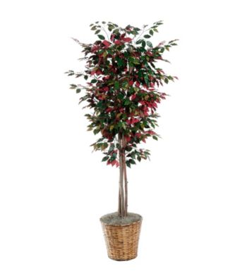 Vickerman 6' Capensia in Dark Brown Rattan