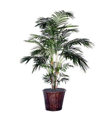 Vickerman 6' Tropical Palm