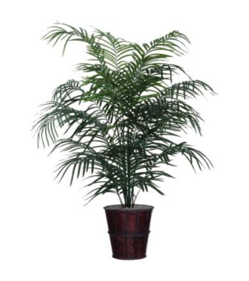 Vickerman Dwarf Palm Tree