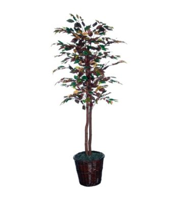 Vickerman 6' Mystic Ficus Tree in Dark Brown Rattan Basket