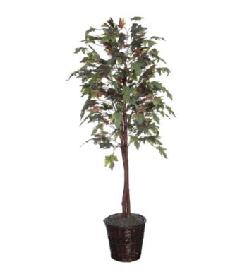 Vickerman Frosted Maple Tree in Dark Brown Rattan Basket