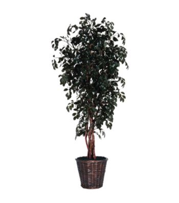 Vickerman 6' Sakaki in Dark Brown Rattan Basket