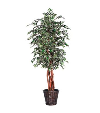Vickerman 6' Variegated Smilax in Dark Brown Rattan Basket