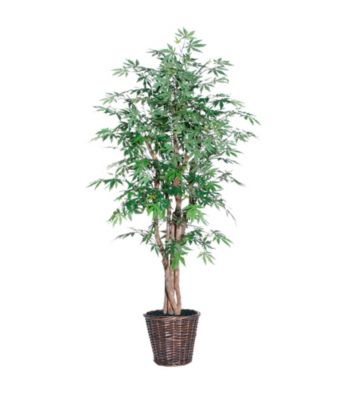 Vickerman 6' Japanese Maple in Dark Brown Rattan Basket