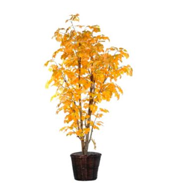 Vickerman 6' Yellow Aspen in Dark Brown Rattan Basket