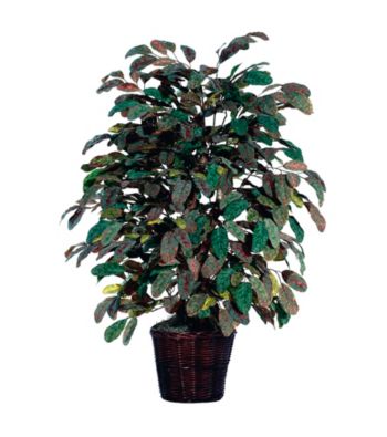 Vickerman 4' Extra Full Frosted Apple in Rattan Basket