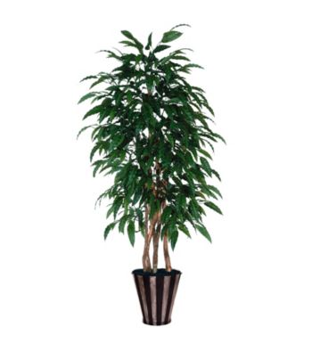 Vickerman 6' Mango Executive / Silver / Black