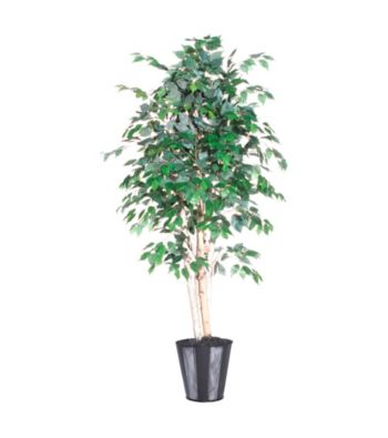 Vickerman 6' Paper Birch Tree