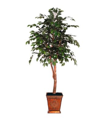 Vickerman 6' Ficus in Heartland Square Metal Container