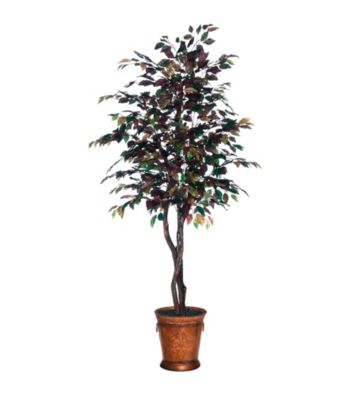 Vickerman 6' Mystic Ficus in Heartland Round Metal Container