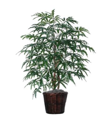 Vickerman 4' Extra Full Finger Aralia Bush Potted Rattan Basket