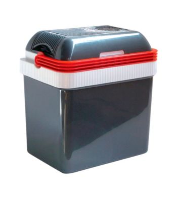 Koolatron® Fun Kooler Thermoelectric Cooler