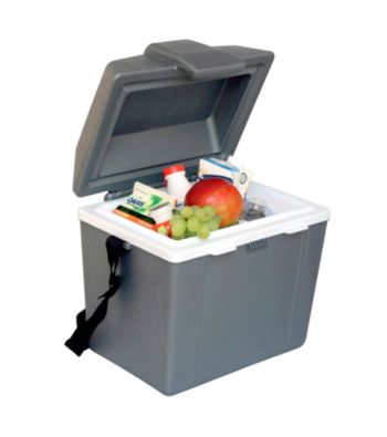 Koolatron® Traveller lll Thermoelectric Cooler