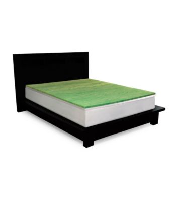 Cradlesoft® 2