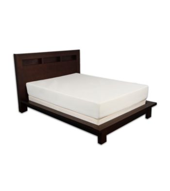 Cradlesoft 10