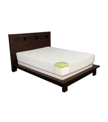 Cradlesoft 10