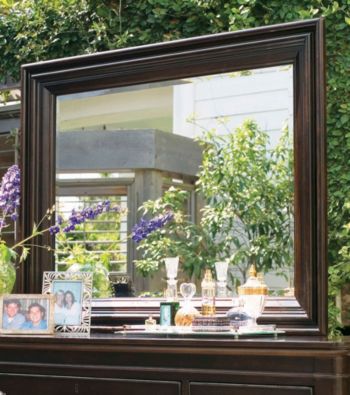 Paula Deen® Magnolia Tobacco Finish Rectangular Mirror