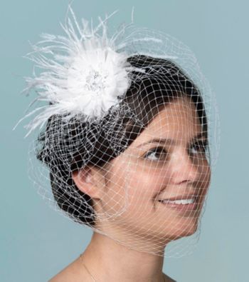 Lillian Rose® Veil with Feather