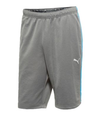 PUMA® Men's Grey/Malibu Blue Form Striped Short