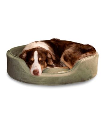 PAW™ Cuddle Round Suede Terry Pet Bed
