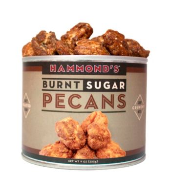 UPC 691355892527 product image for Hammond's Candies Burnt Sugar Pecans | upcitemdb.com