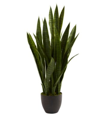 Nearly Natural&reg; Sansevieria with Black Planter