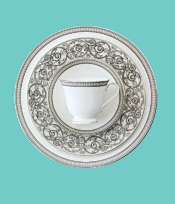 Waterford Carina Platinum 5-piece Place Setting