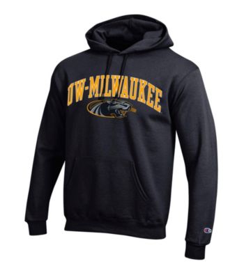 uw champion hoodie