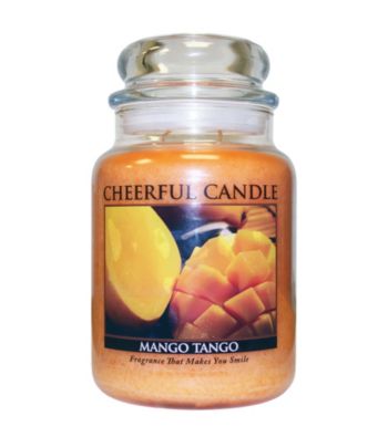 UPC 674623310831 product image for Cheerful Candle Mango Tango Candle | upcitemdb.com