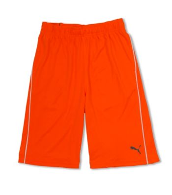 UPC 888822261133 product image for PUMA® Boys' 2T-20 Mesh Shorts | upcitemdb.com