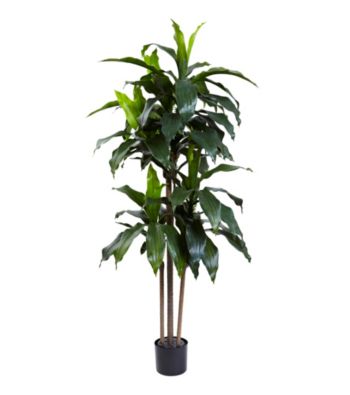 Nearly Natural&reg; UV Resistant Dracaena Plant