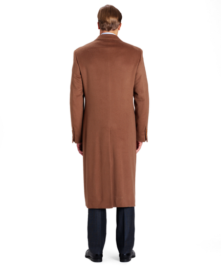 Vicuna
