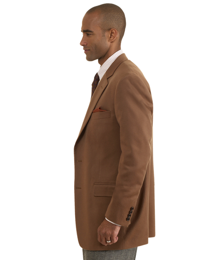 Vicuna