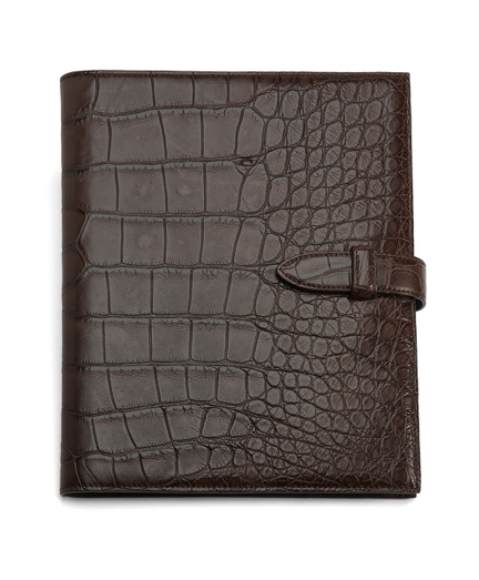 Alligator Journal