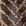 Brown-beige