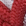Red-White