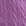 African violet