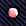 Navy-Pink