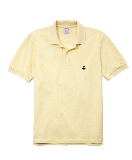 Yellow Heather