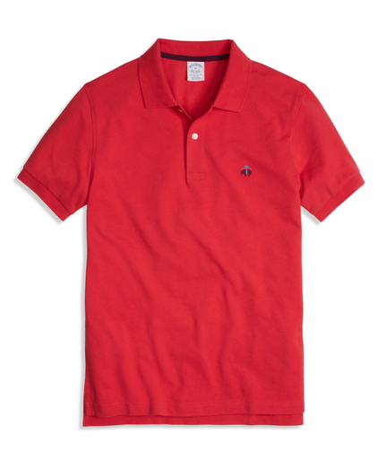 Chrysanthemum Red