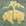 Dark Green Heather