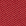 Chrysanthemum Red