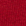 Chrysanthemum Red
